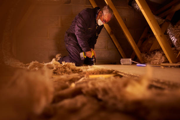 Best Residential Insulation in Grayslake, IL